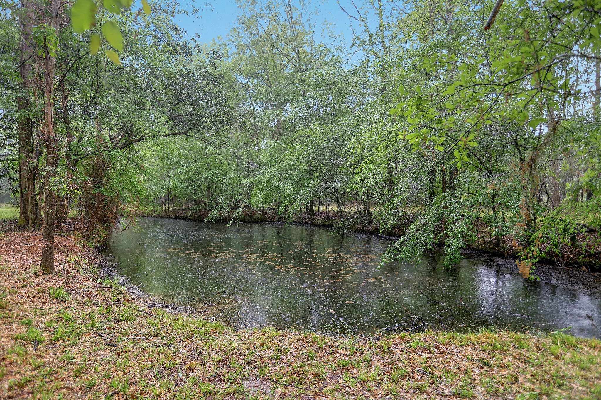 22092 Brook Forest Road New Caney TX 77357