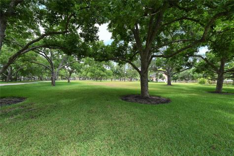 326 W Alkire Lake Drive Sugar Land TX 77478