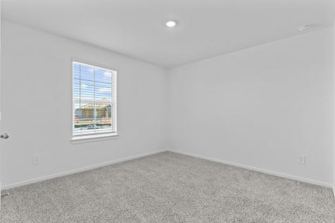 1411 Angelfish Drive Iowa Colony TX 77583