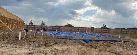1411 Angelfish Drive Iowa Colony TX 77583