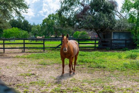 02 Katy Hockley Road Katy TX 77493