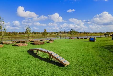 10514 Sutter Creek Drive Iowa Colony TX 77583