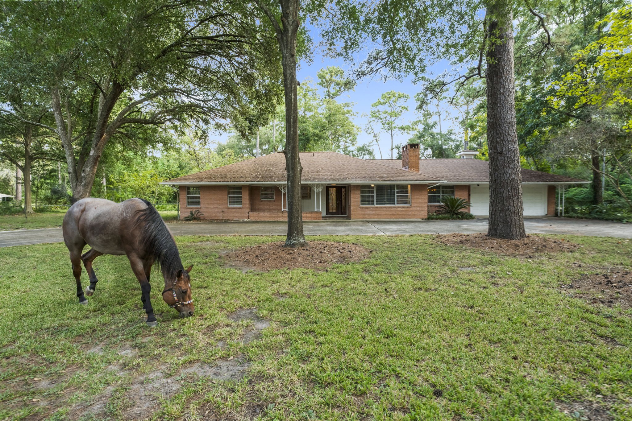 9821 Shadow Wood Drive Houston TX 77080