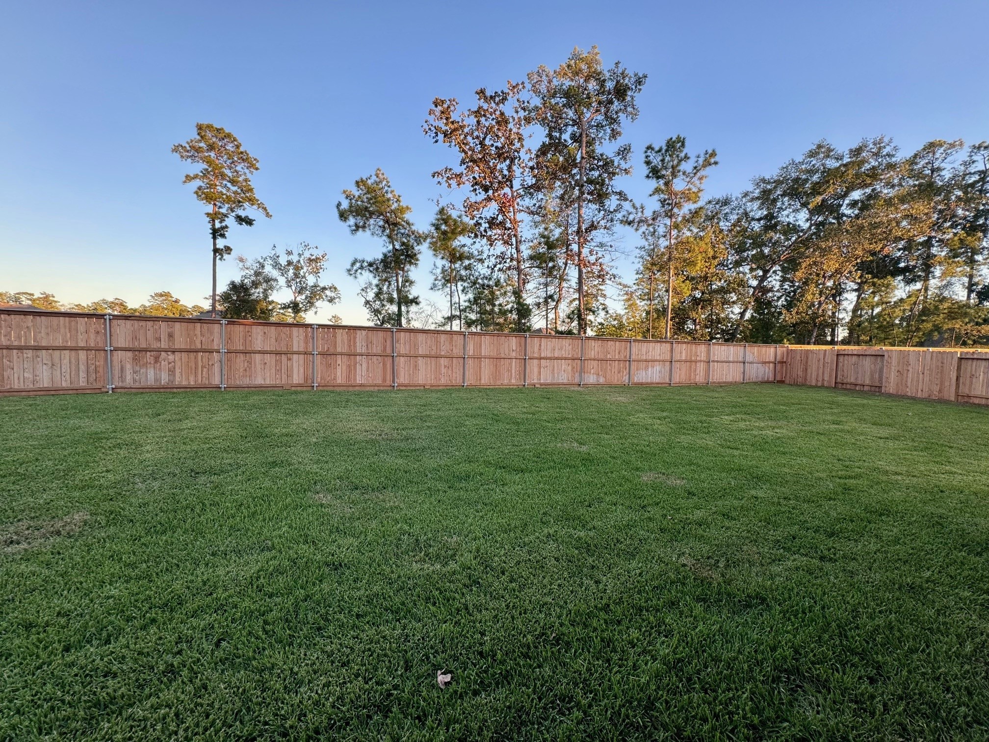 14106 Savage River Court Conroe TX 77384