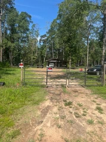 186 Adrian Hall Drive Drive Cleveland TX 77328