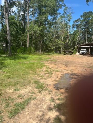 186 Adrian Hall Drive Drive Cleveland TX 77328