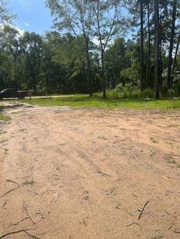 186 Adrian Hall Drive Drive Cleveland TX 77328