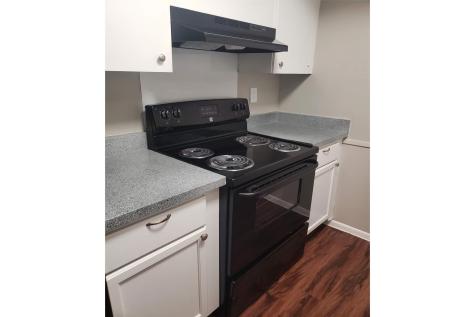 1212 Hampshire Lane 132-2 Richardson TX 75080