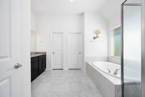 2622 Mountain Sage Drive Pearland TX 77584