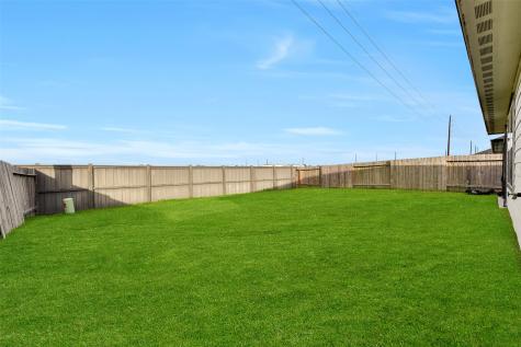7515 Fierce Friesian Lane Rosharon TX 77583