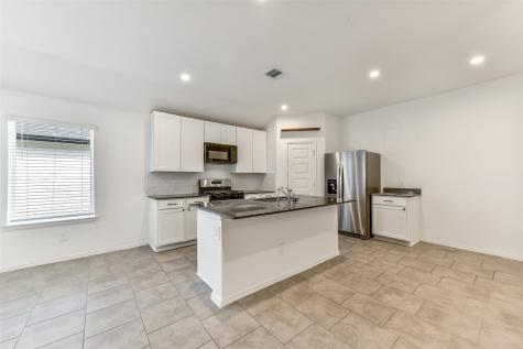 7515 Fierce Friesian Lane Rosharon TX 77583