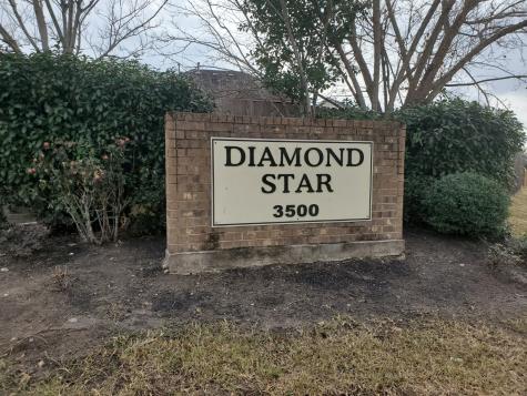 3207 Sapphire Star Drive Houston TX 77082