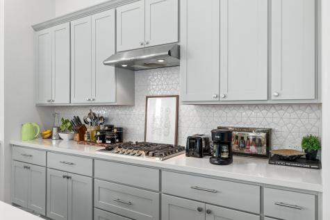 23607 Bottlebrush Terrace Trail Katy TX 77493