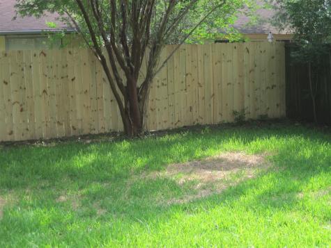 6822 Harpers Drive Richmond TX 77469