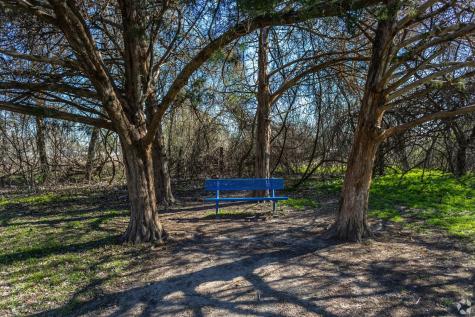 520 Laredo Street Navasota TX 77868