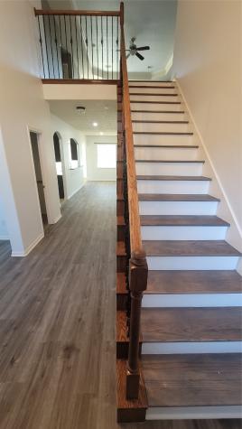 3603 Gail Meadow Court Katy TX 77494