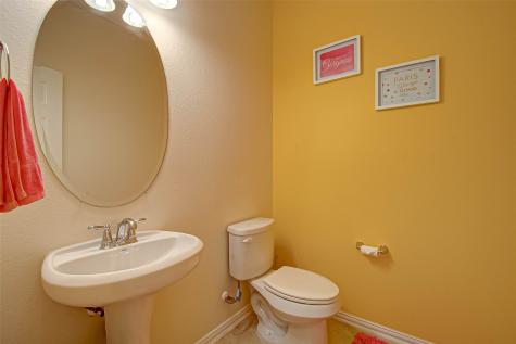 8219 Peppervine Court Conroe TX 77385