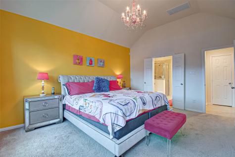 8219 Peppervine Court Conroe TX 77385