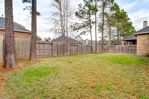 8219 Peppervine Court Conroe TX 77385