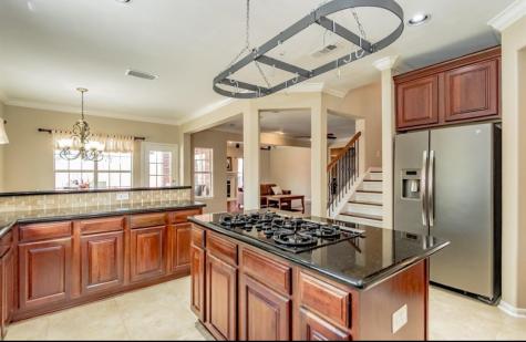 303 N Elder Grove Drive Pearland TX 77584