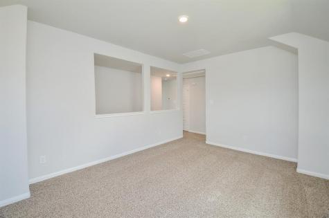 3911 Giorgio Pastel Place Katy TX 77493