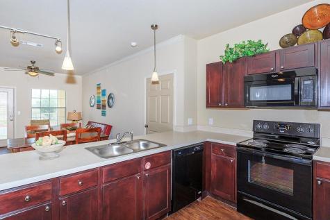 315 Butterfly Garden Drive Rio Grande City TX 78582