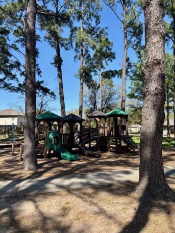 19806 Trevlig Trail Houston TX 77073