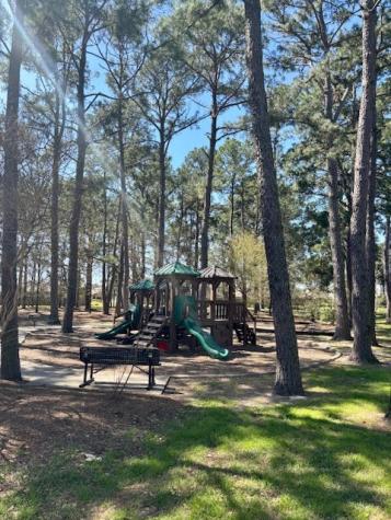19806 Trevlig Trail Houston TX 77073