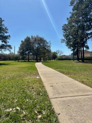 19806 Trevlig Trail Houston TX 77073