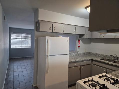306 North Street 14 Houston TX 77009
