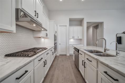 3506 Gannan Lake Court Katy TX 77493