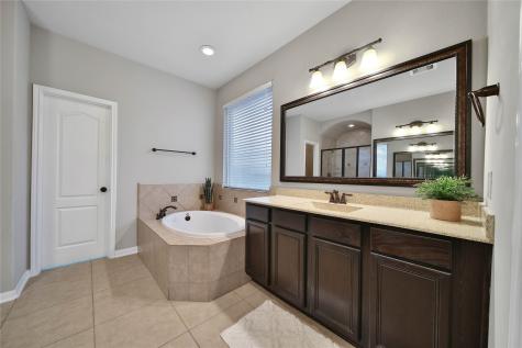 17239 Rookery Court Conroe TX 77385