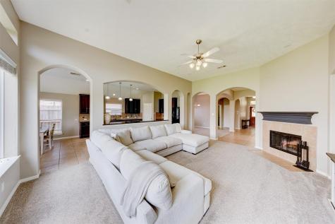 510 Naples Terrace Lane La Marque TX 77568