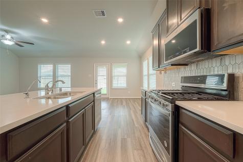 1231 Vine House Drive Richmond TX 77406