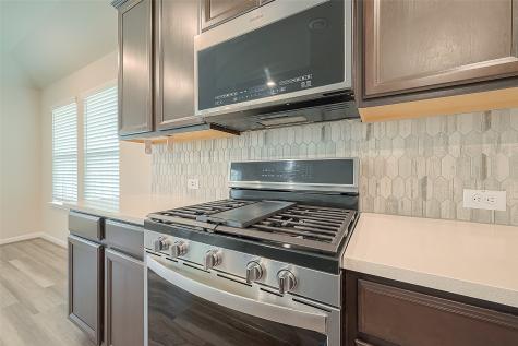 1231 Vine House Drive Richmond TX 77406