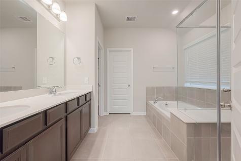 1231 Vine House Drive Richmond TX 77406
