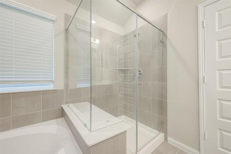 1231 Vine House Drive Richmond TX 77406