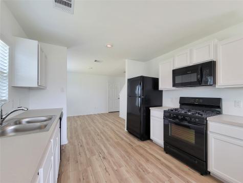 11079 N Lake Mist Lane Willis TX 77318