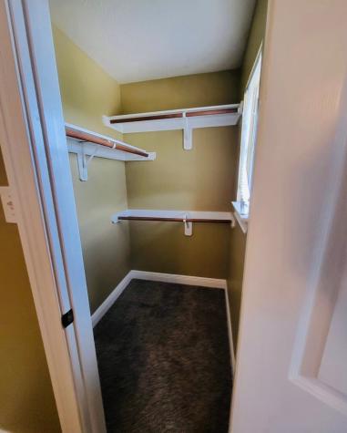 12438 Narcissus View Trail Houston TX 77089