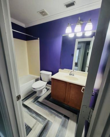 12438 Narcissus View Trail Houston TX 77089