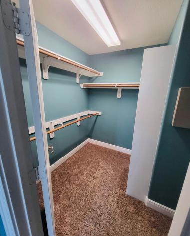 12438 Narcissus View Trail Houston TX 77089