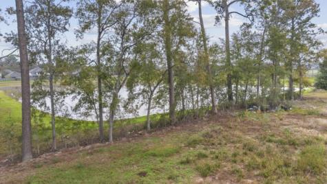 21225 W Hammond Drive Porter TX 77365