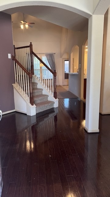 3018 Lexanne Court Spring TX 77388