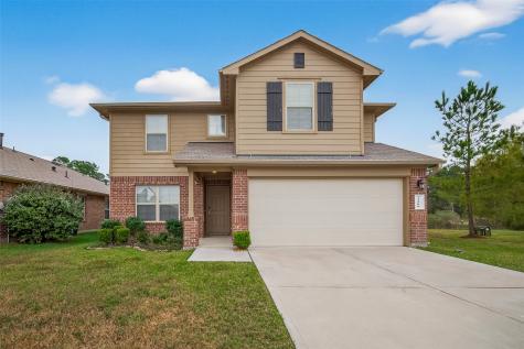 23506 Umbrella Pine Drive Tomball TX 77375