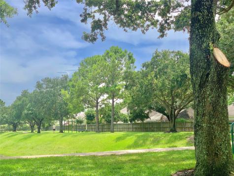 11210 Chestnut Woods Trail Houston TX 77065