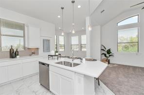 9427 Harvest Bay Court Missouri City TX 77459