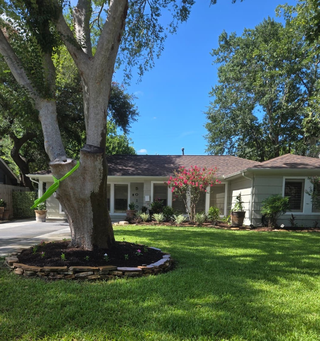 5010 Mayfair Street Bellaire TX 77401