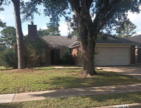 16518 Salida De Sol Drive Houston TX 77083