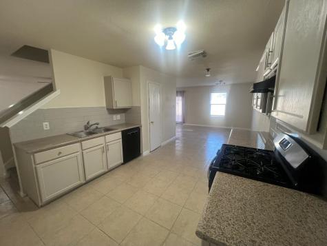 13246 Gatton Park Drive Houston TX 77066