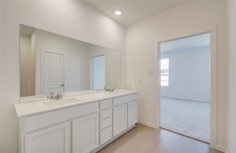 26514 Foxtail Fern Drive Katy TX 77493